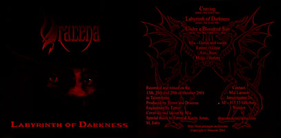 Labyrinth of Darkness